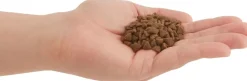 Acana Gatitos (0 A 12 Meses)^Cat First Feast 1.8kg