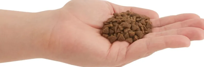 Acana Gatitos (0 A 12 Meses)^Cat First Feast 1.8kg