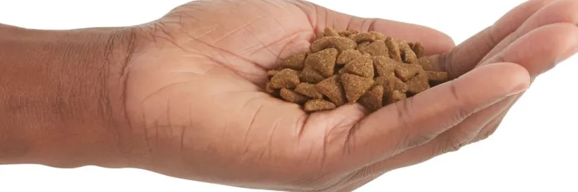 Acana Adultos (1 A 7 Años)^Cat Indoor Entree 4.5kg