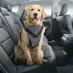 AFP Cinturones De Seguridad^Travel Dog Arnes de Seguridad XL
