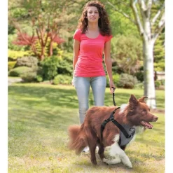 AFP Cinturones De Seguridad^Travel Dog Arnes de Seguridad XL
