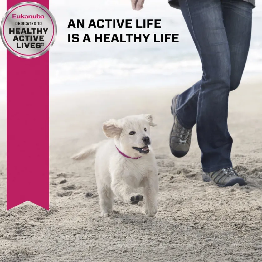 Eukanuba Cachorros (0 A 12 Meses)^Alimento Puppy Large Breed 15kg