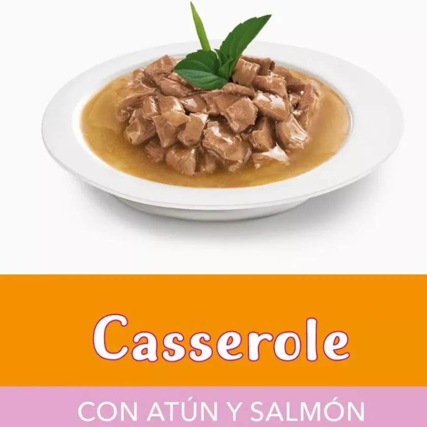 Fancy Feast - Purina Húmedos^Alimento Fancy Feast Casserole Atún Salmón 85g PACK 15 unidades