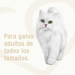 Fancy Feast - Purina Húmedos^Alimento Fancy Feast Casserole Atún Salmón 85g