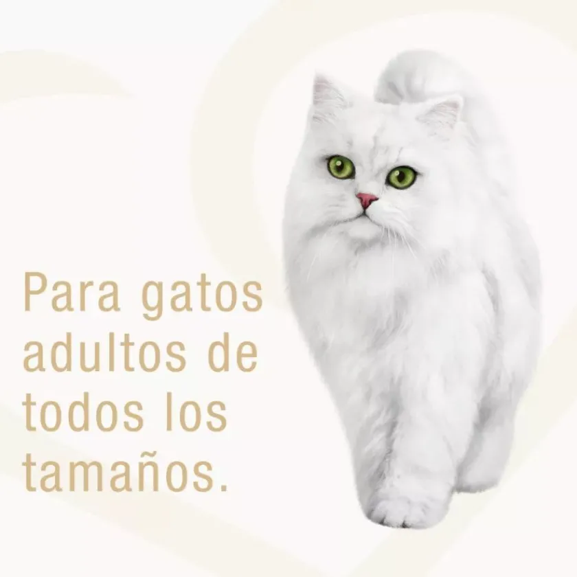 Fancy Feast - Purina Húmedos^Alimento Fancy Feast Casserole Atún Salmón 85g PACK 15 unidades