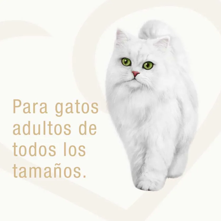 Fancy Feast - Purina Húmedos^Alimento húmedo Fancy Feast Demi Glace Carne 85g