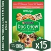 Dog Chow - Purina Húmedos^Alimento húmedo para perro DOG CHOW® Adultos con Pollo sobre 100gr Pack 15 Unidades