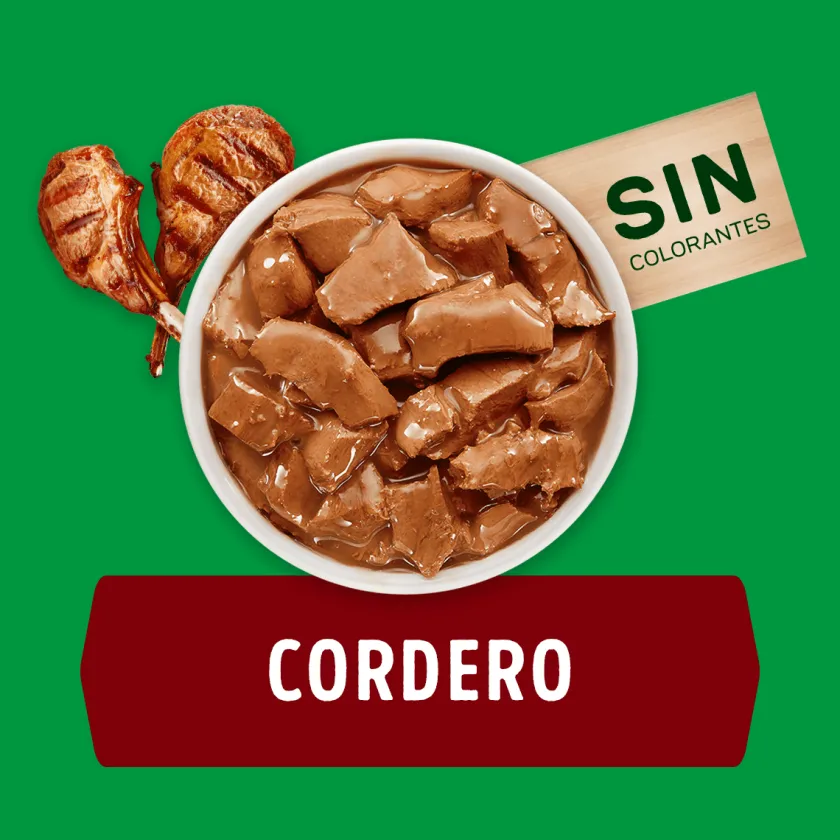 Dog Chow - Purina Húmedos^Alimento húmedo para perro DOG CHOW® Adultos con Cordero sobre 100gr Pack 15 Unidades