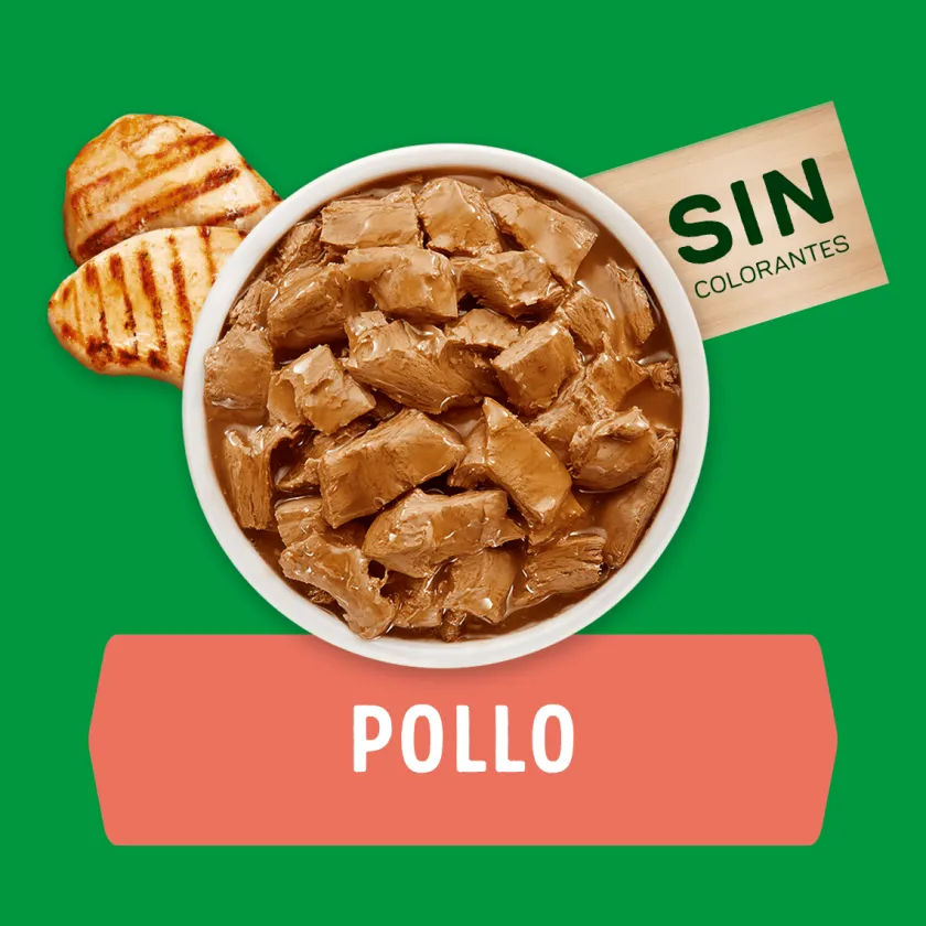 Dog Chow - Purina Húmedos^Alimento húmedo para perro DOG CHOW® Adultos con Pollo sobre 100gr Pack 15 Unidades