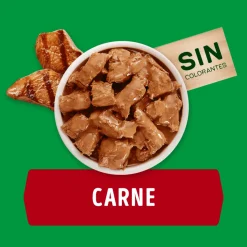 Dog Chow - Purina Húmedos^Alimento húmedo para perro DOG CHOW® Adultos con Carne sobre 100g Pack 15 Unidades