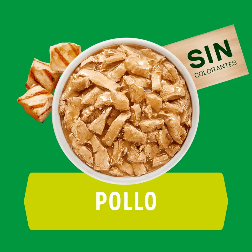 Dog Chow - Purina Húmedos^Alimento húmedo para perro DOG CHOW® Cachorros con Pollo sobre 100gr Pack 15 Unidades