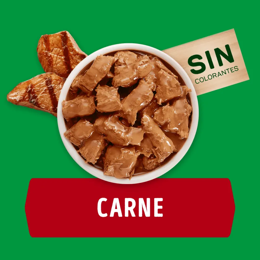 Dog Chow - Purina Húmedos^Alimento húmedo para perro DOG CHOW® Adultos con Carne sobre 100g Pack 15 Unidades
