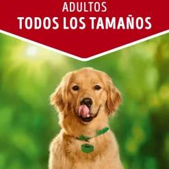 Dog Chow - Purina Húmedos^Alimento húmedo para perro DOG CHOW® Adultos con Carne sobre 100g Pack 15 Unidades