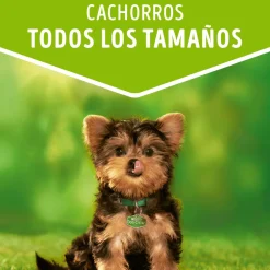 Dog Chow - Purina Húmedos^Alimento húmedo para perro DOG CHOW® Cachorros con Carne sobre 100gr Pack 15 Unidades