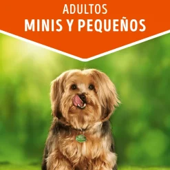 Dog Chow - Purina Húmedos^Alimento húmedo para perro DOG CHOW® Adultos Minis y Pequeños Sabor Carne 100gr Pack 15 Unidades