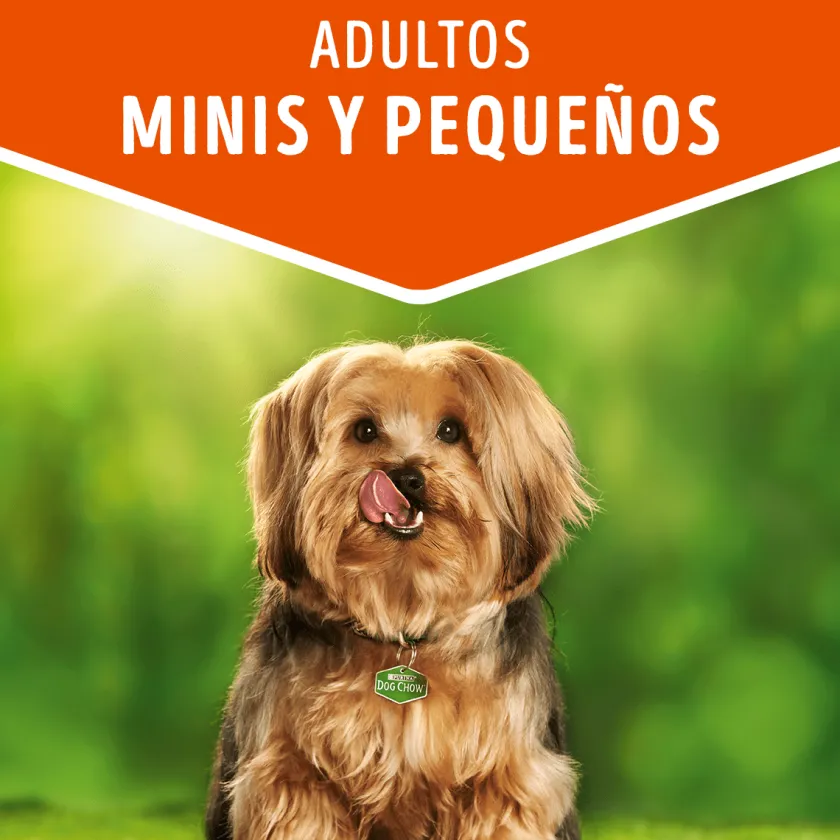 Dog Chow - Purina Húmedos^Alimento húmedo para perro DOG CHOW® Adultos Minis y Pequeños Sabor Carne 100gr Pack 15 Unidades