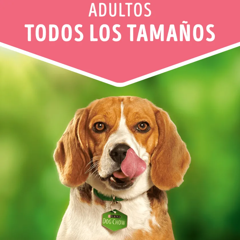 Dog Chow - Purina Húmedos^Alimento húmedo para perro DOG CHOW® Adultos con Pavo sobre 100gr Pack 15 Unidades