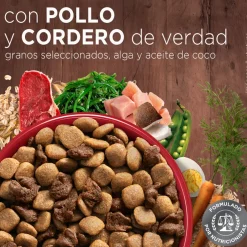 Purina One Adultos (1 A 7 Años)^Alimento para perro PURINA® ONE® Adulto Mediano y Grande Pollo y Cordero
