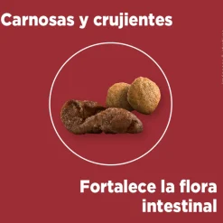 Purina One Adultos (1 A 7 Años)^Alimento para perro PURINA® ONE® Adulto Mediano y Grande Pollo y Cordero