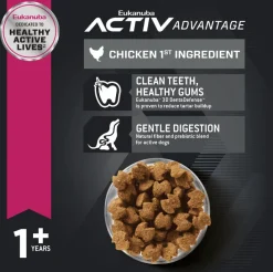 Eukanuba Adultos (1 A 7 Años)^Alimento Perro Adult Large Breed 15kg