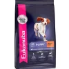Eukanuba Cachorros (0 A 12 Meses)^Alimento Perro Puppy Medium Breed 15kg