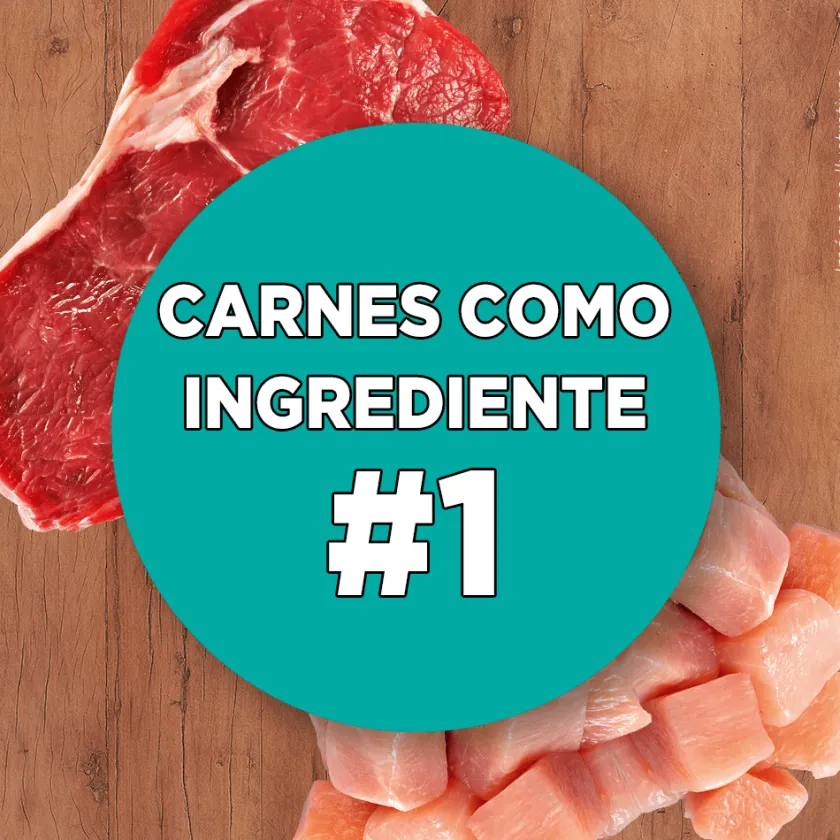 Purina One Gatitos (0 A 12 Meses)^Alimento seco para gato PURINA® ONE® Gatito Pollo y Carne