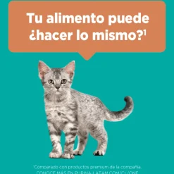 Purina One Gatitos (0 A 12 Meses)^Alimento seco para gato PURINA® ONE® Gatito Pollo y Carne