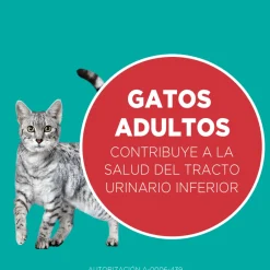 Purina One Adultos (1 A 7 Años)^Alimento seco para gato PURINA® ONE® Adulto Pollo y Carne