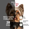 Purina One Adultos (1 A 7 Años)^Alimento seco para perro PURINA® ONE® Adulto Mini y Pequeño Pollo y Carne