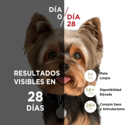 Purina One Adultos (1 A 7 Años)^Alimento seco para perro PURINA® ONE® Adulto Mini y Pequeño Pollo y Carne