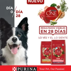Purina One Adultos (1 A 7 Años)^Alimento seco para perro PURINA® ONE® Adulto Mediano y Grande Pollo y Carne