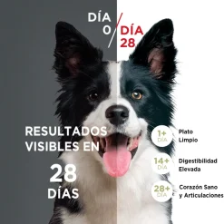 Purina One Cachorros (0 A 12 Meses)^Alimento seco para perro PURINA® ONE® Cachorro Pollo y Carne