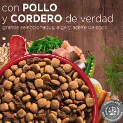 Purina One Adultos (1 A 7 Años)^Alimento seco para perro PURINA® ONE® Adulto Mini y Pequeño Pollo y Cordero