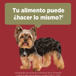 Purina One Adultos (1 A 7 Años)^Alimento seco para perro PURINA® ONE® Adulto Mini y Pequeño Pollo y Carne