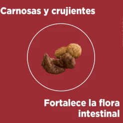 Purina One Cachorros (0 A 12 Meses)^Alimento seco para perro PURINA® ONE® Cachorro Pollo y Carne