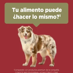 Purina One Adultos (1 A 7 Años)^Alimento seco para perro PURINA® ONE® Adulto Mediano y Grande Pollo y Carne