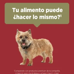 Purina One Adultos (1 A 7 Años)^Alimento seco para perro PURINA® ONE® Adulto Mini y Pequeño Pollo y Cordero