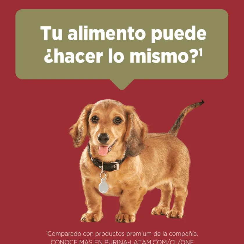 Purina One Cachorros (0 A 12 Meses)^Alimento seco para perro PURINA® ONE® Cachorro Pollo y Carne