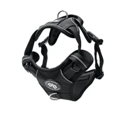 Street Dogs Arnes, Collares Y Correas^Arnés Comfort Para Perros StreetDogs Black L