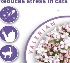 Beaphar Relajación Para Gatos | Adiestramiento^Calming Spot On Pipeta Calmante Gato 3 unidades