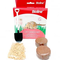 Bioline Hierba Gatera^Kit de siembra hierba gatera 12gr