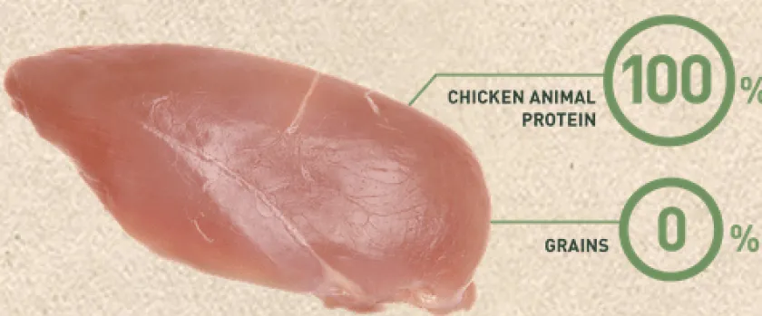 Bravery Adultos (1 A 7 Años)^Chicken Mini Adult