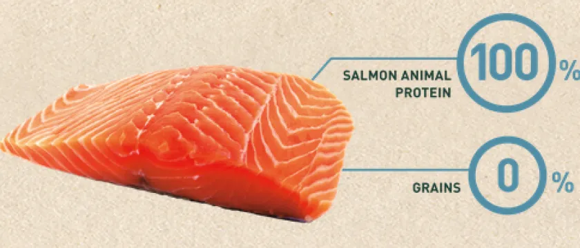 Bravery Castrados^Salmon Adult Cat Sterilized 2kg