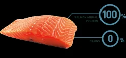 Bravery Adultos (1 A 7 Años)^Salmon Mini Adult 2kg
