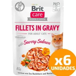 Brit Care Húmedos^Cat Fillets in Gravy Pouch Salmon 85gr Pack 6 Unidades