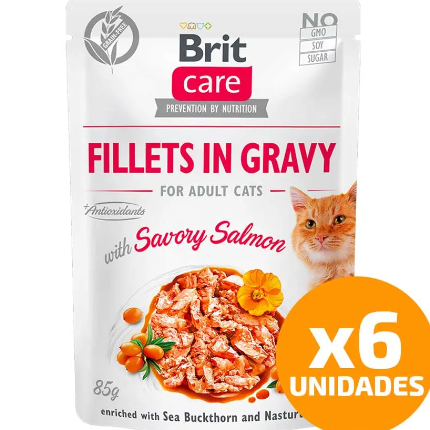 Brit Care Húmedos^Cat Fillets in Gravy Pouch Salmon 85gr Pack 6 Unidades