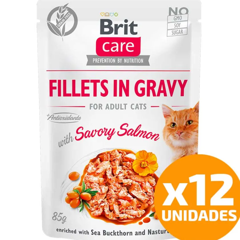 Brit Care Húmedos^Cat Fillets in Gravy Pouch Salmon 85gr Pack 12 Unidades