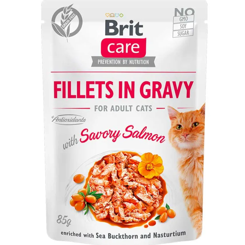 Brit Care Húmedos^Cat Fillets in Gravy Pouch Salmon 85gr Pack 6 Unidades
