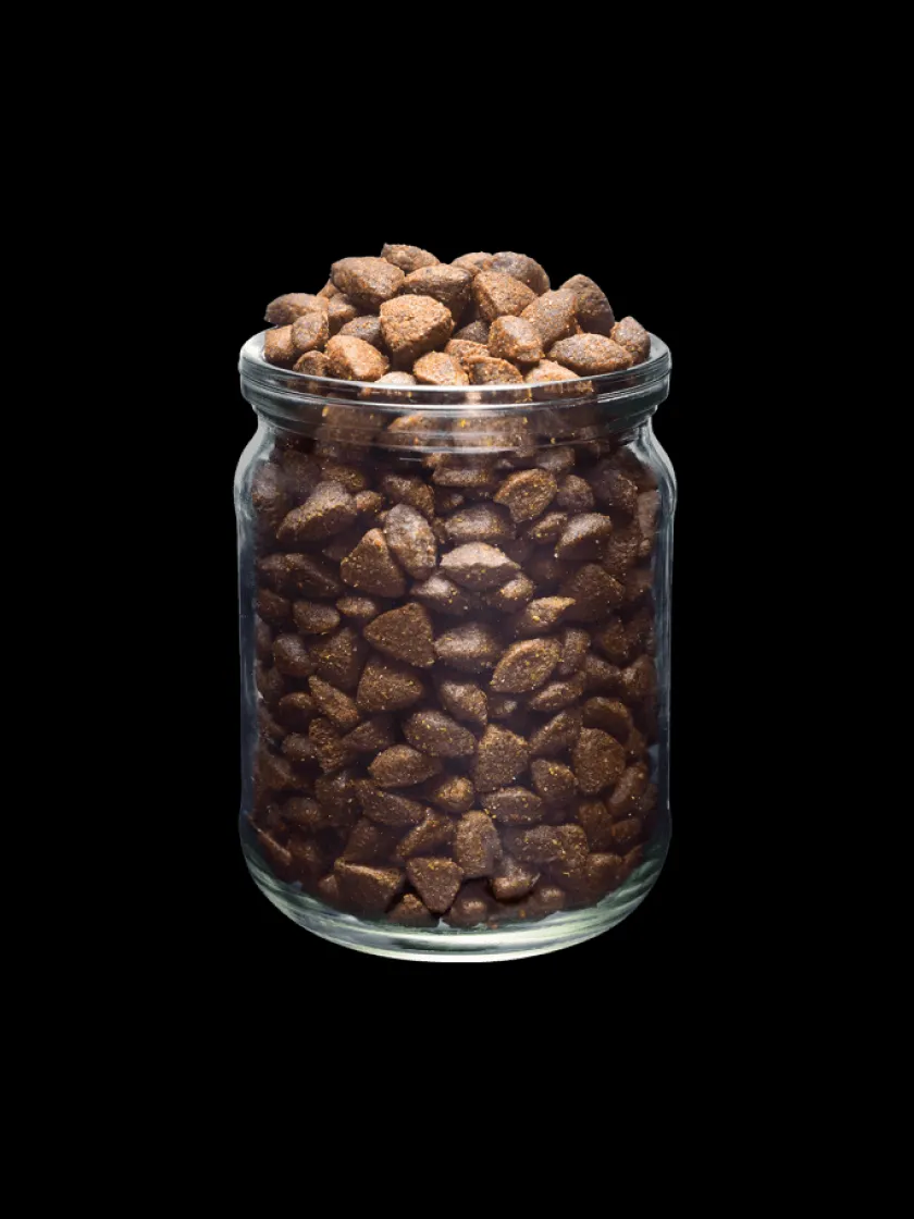 Brit Fresh Control Peso | Senior (+7 Años)^Pavo y Guisantes Perros con Sobrepeso 2.5kg