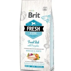 Brit Fresh Adultos (1 A 7 Años)^Pescado y Calabaza perros Adultos de raza grande 12kg